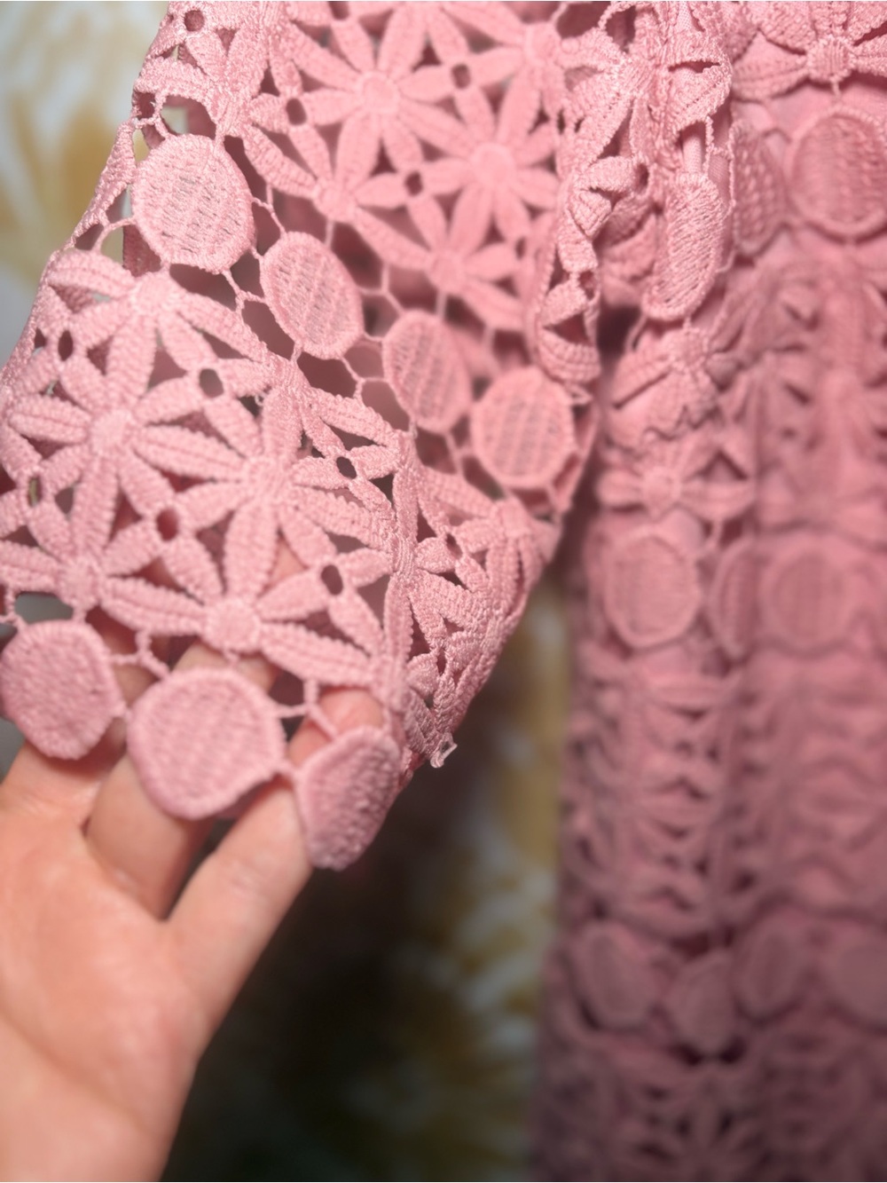Sandra Darren Dusty Rose Lace Dress | Elegant Cocktail Wedding Guest Shift Dress - Picture 7 of 11